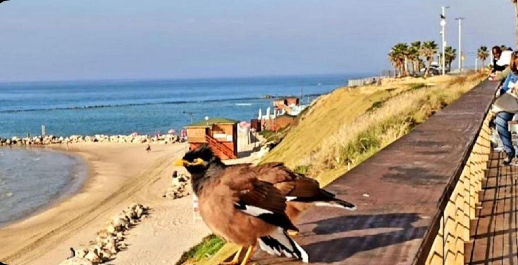 Motel Hofim Bat Yam Esterno foto